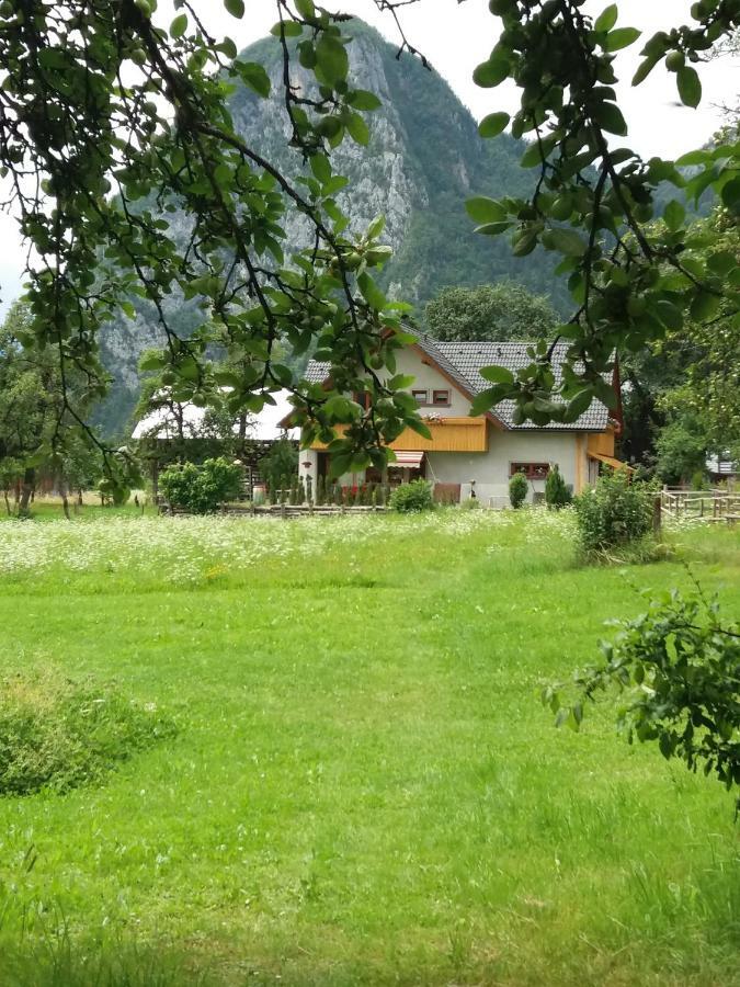 Apartma Bremec-Studio Bohinj Exterior foto