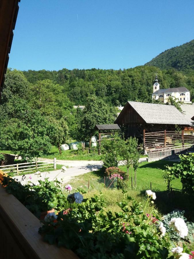 Apartma Bremec-Studio Bohinj Exterior foto